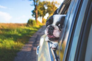 Worcester Car Accident Lawyer: Causes of Increased Accidents this Summer