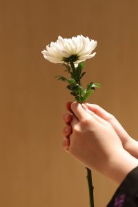 Understanding Wrongful Death Claims: How a Worcester Lawyer Can Help
